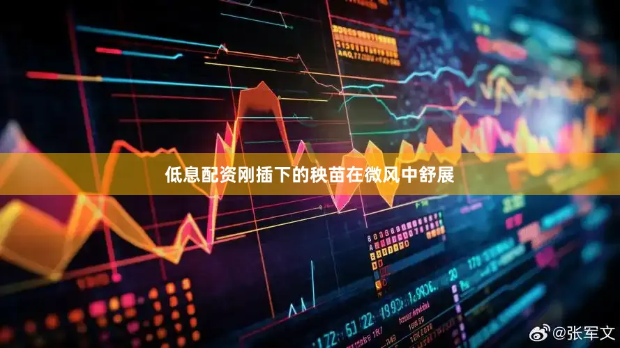低息配资刚插下的秧苗在微风中舒展